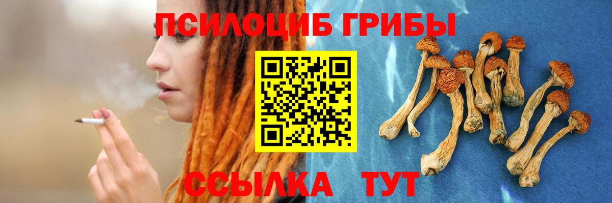 Псилоцибиновые грибы GOLDEN TEACHER  Вход с VPN  Кропоткин  Галлюциногенные грибы MAGIC MUSHROOMS 