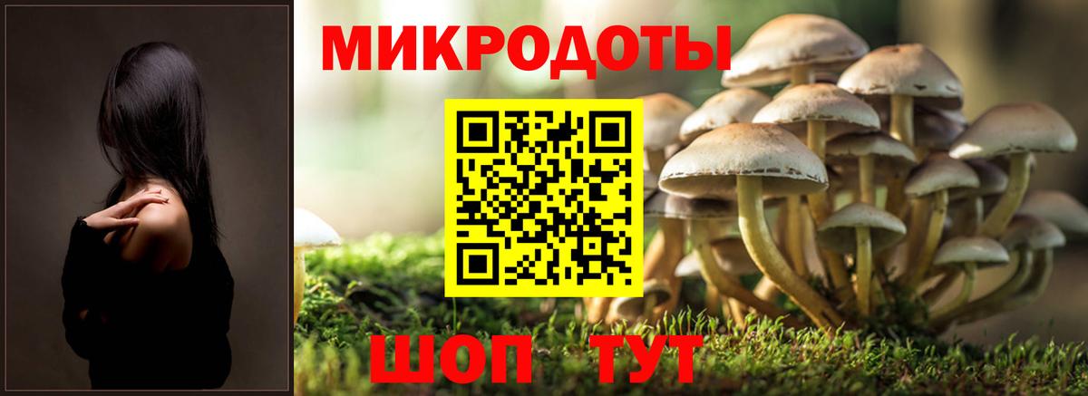 Псилоцибиновые грибы GOLDEN TEACHER Кропоткин